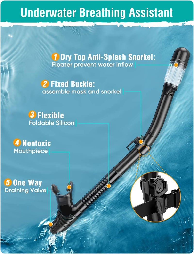 Seovediary Snorkel Set Adults Snorkeling Gear Anti-Fog Panoramic View Swim Mask Dry Top Snorkel Kit with Carry Bag for Snorkeling Scuba Diving Swimming Travel - Image 4
